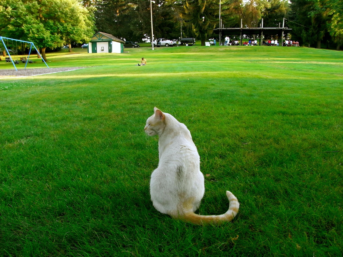 ワシントン州の公園にて